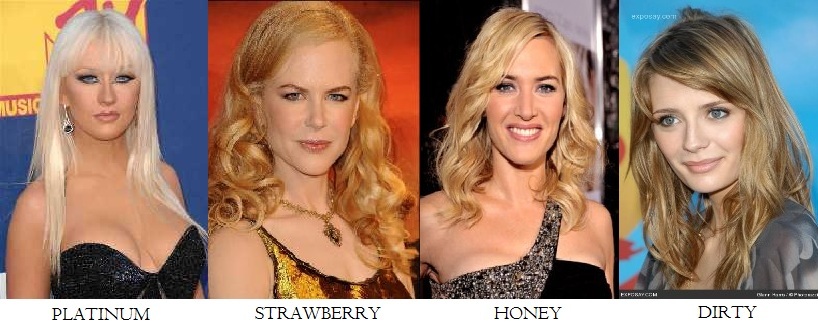 Blog By Drugstoreprincess Different Shades Of Hair And What To