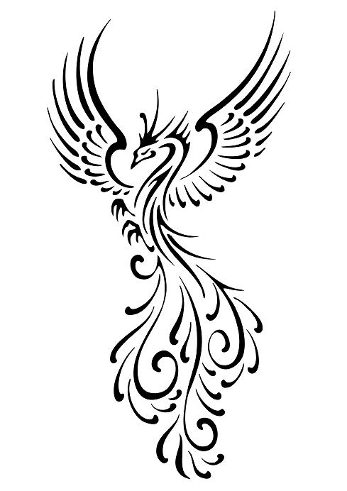 phoenix tattoo meaning for men phoenix tattoos.