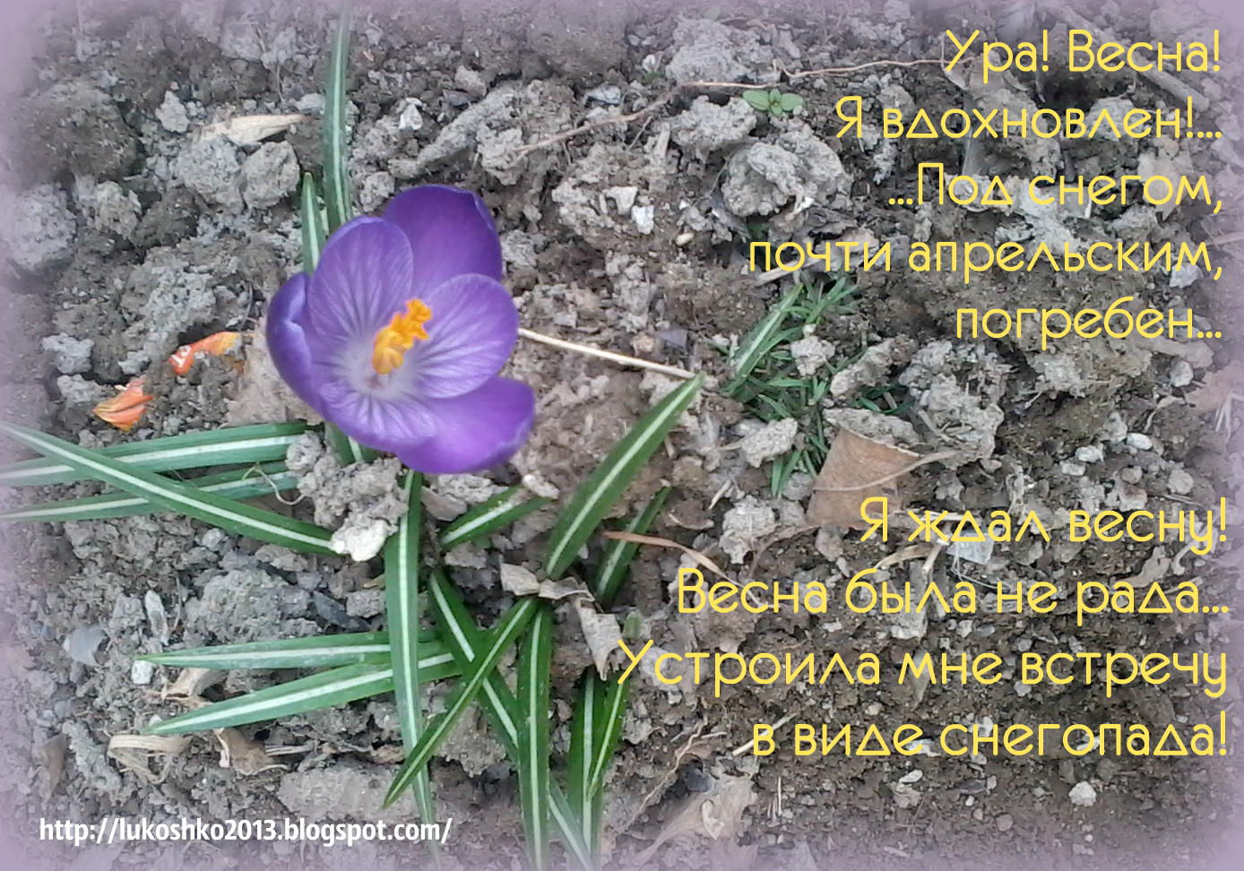 О не летной погоде) Лукошко Элси