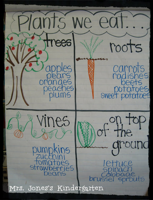 Prokaryotic Plant Cell Diagram