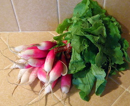 Large Bunch of French Breakfast Radishes