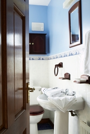 Newly Domesticated Bathroom Door Closed Or Open
