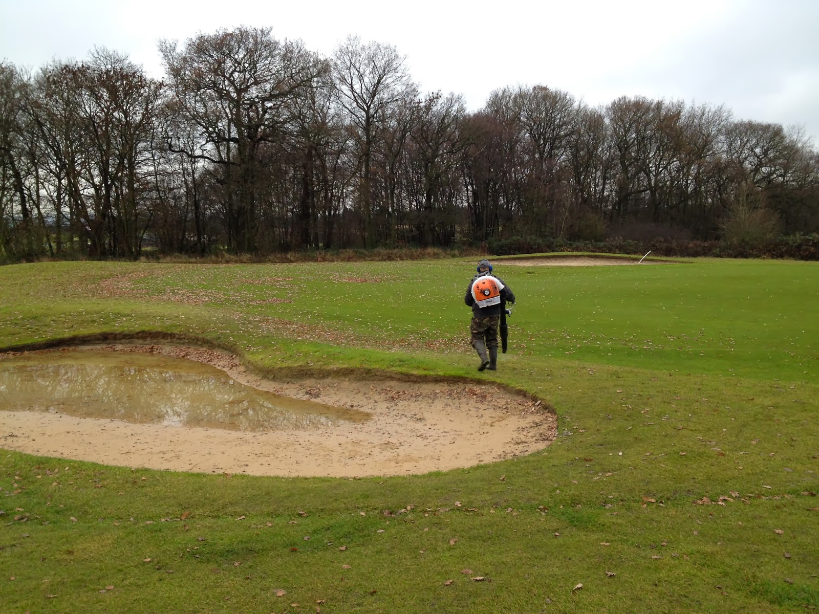 Out and About on South Essex Golf Course