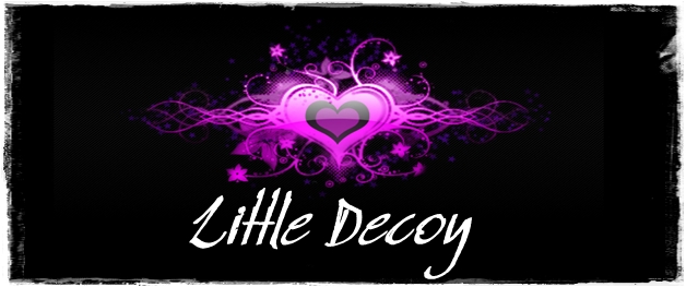 Little decoy
