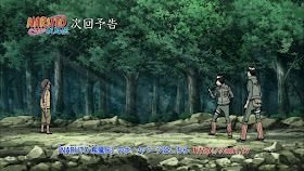 Naruto Shippuden Episode 312 Subtitle Indonesia