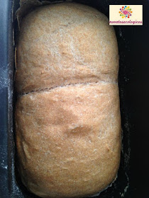 pan espelta y trigo integrales ecologicos