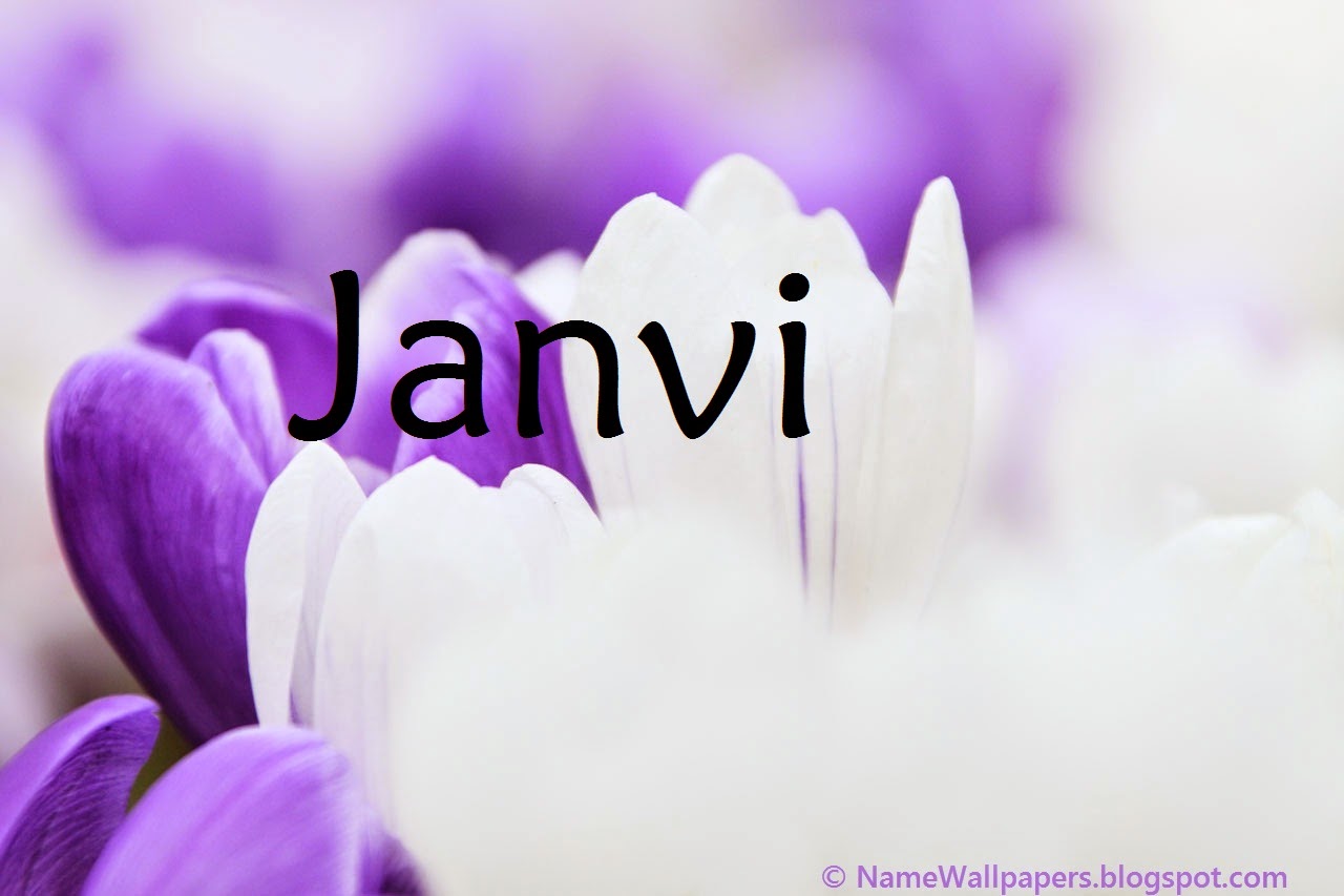 Janvi Name Wallpapers Janvi Name Wallpaper Urdu Name Meaning Name