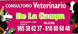 CONSULTORIO VETERINARIO DE LA CAMPA