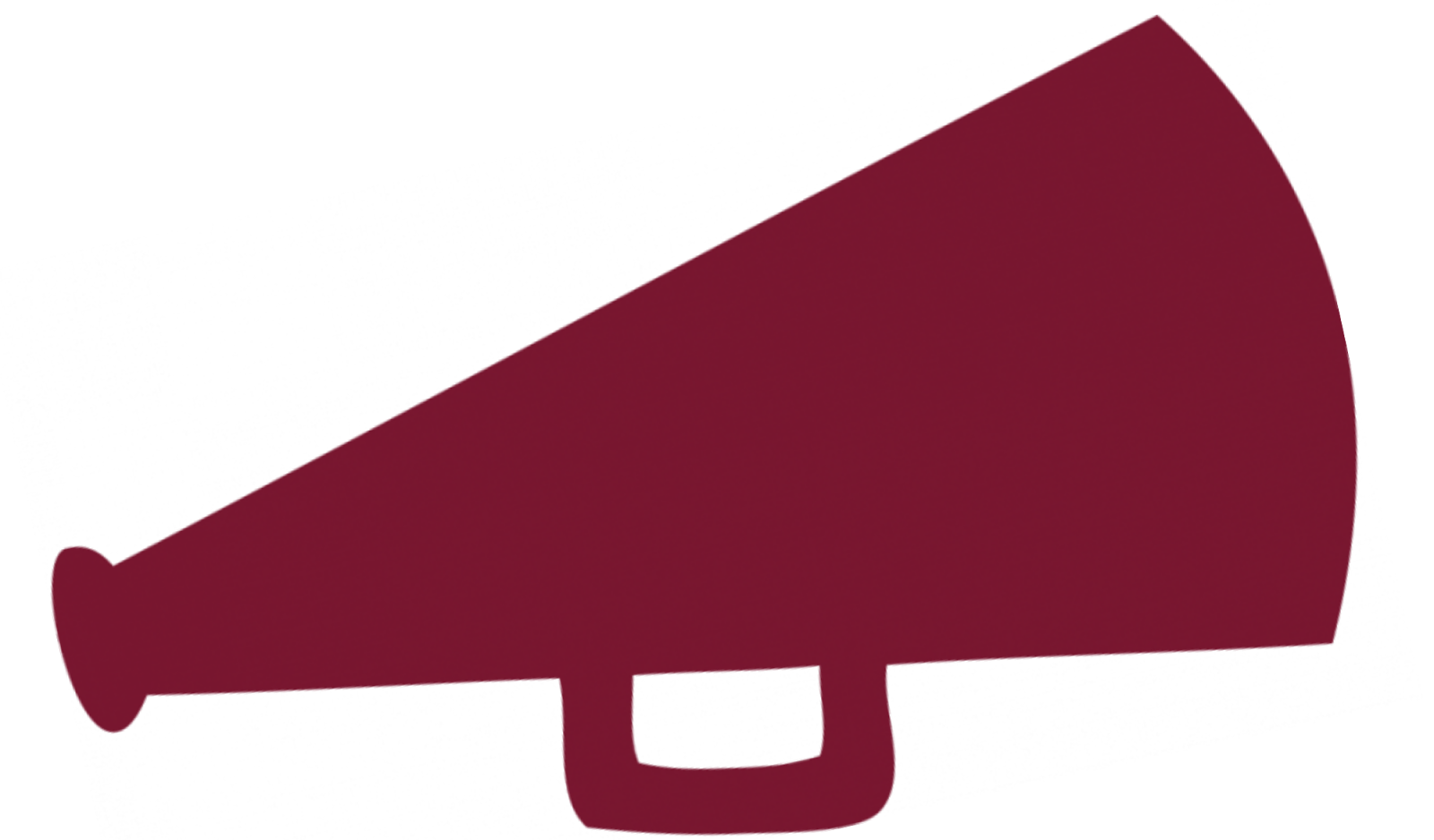 All Star Cheer World: 40 Cheer Questions Tag