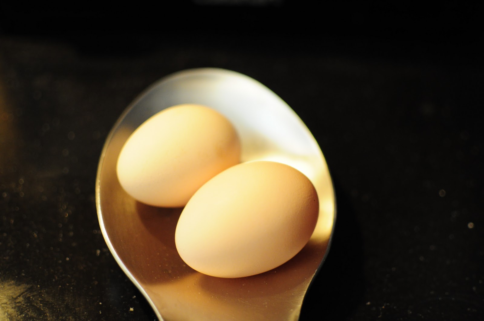 http://2.bp.blogspot.com/-b-ItlGavsjY/TWKw1V-Hk9I/AAAAAAAACOg/h436lopUcgk/s1600/two+eggs+in+spoon+rest.JPG