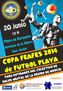 CARTEL DE LA COPA 2014