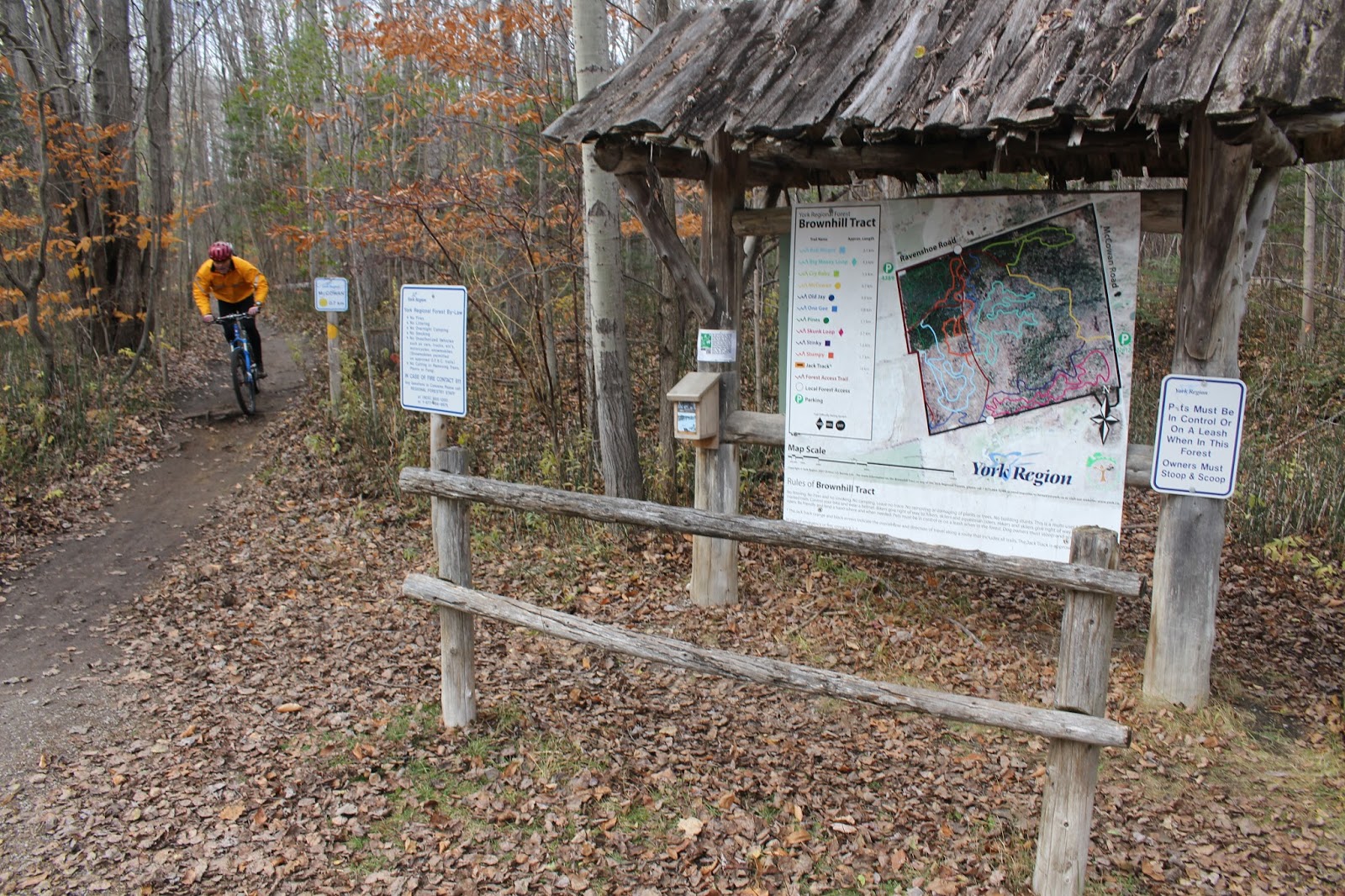 Shawn's Bicycle Adventures Mountain Biking in the York Regional Forest