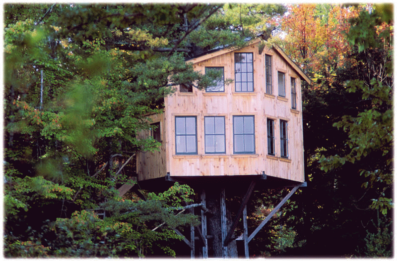 Funny Tree House
