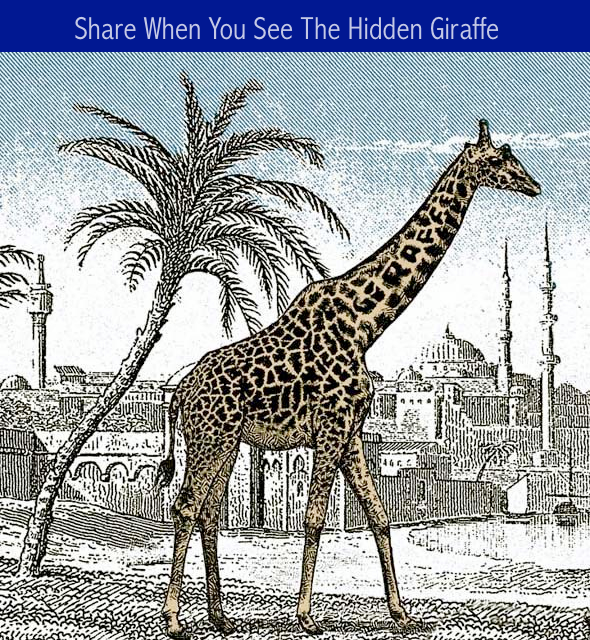 hidden-girrafe-%D8%AE%D8%AF%D8%B9+%D8%A8%D8%B5%D8%B1%D9%8A%D8%A9.png