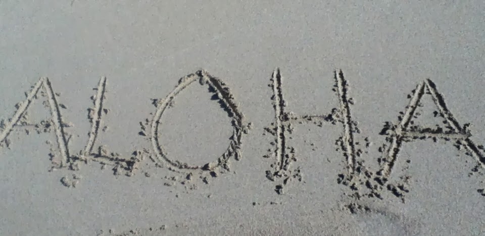 Assignment 1 Design Brief Hidayah Mohd Fairuz