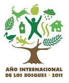 2011, Año Internacional de los Bosques