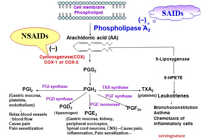 Is Tylenol 3 An Anti Inflammatory