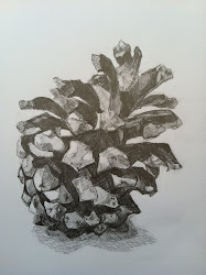 Pine cone