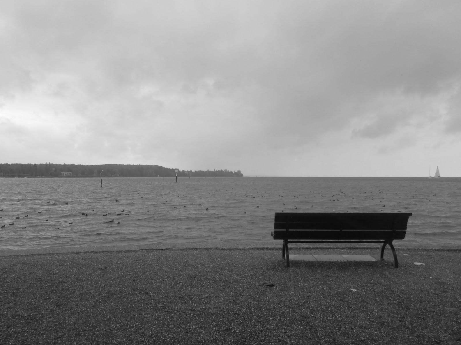 Stiftung Managerohnegrenzen Mai 2017