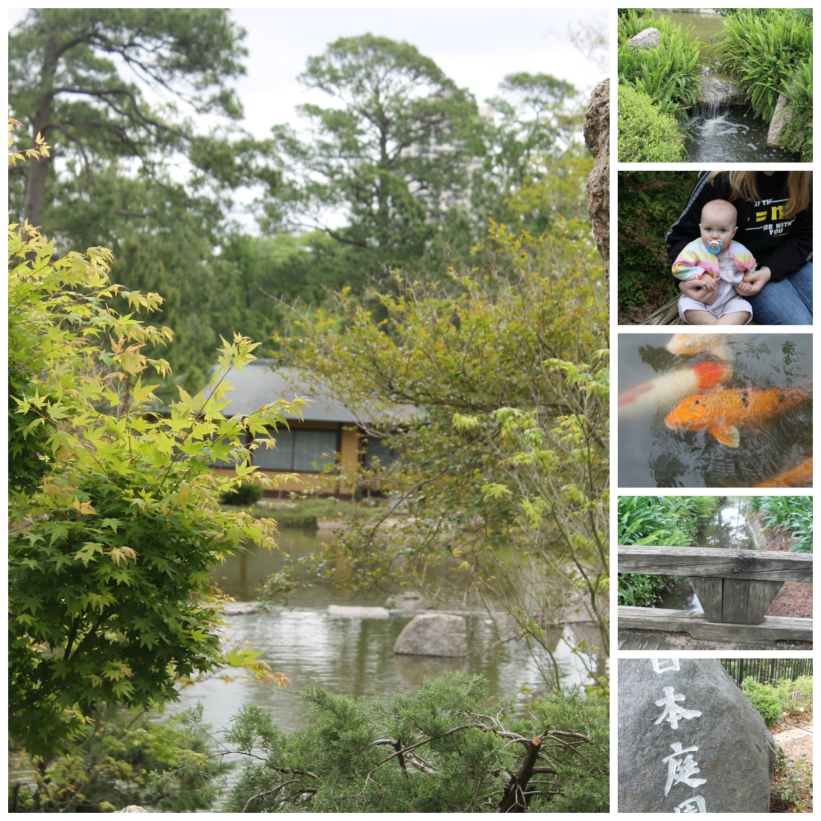 the Story of My World Peaceful surroundings.. Houston Japanese Garden
