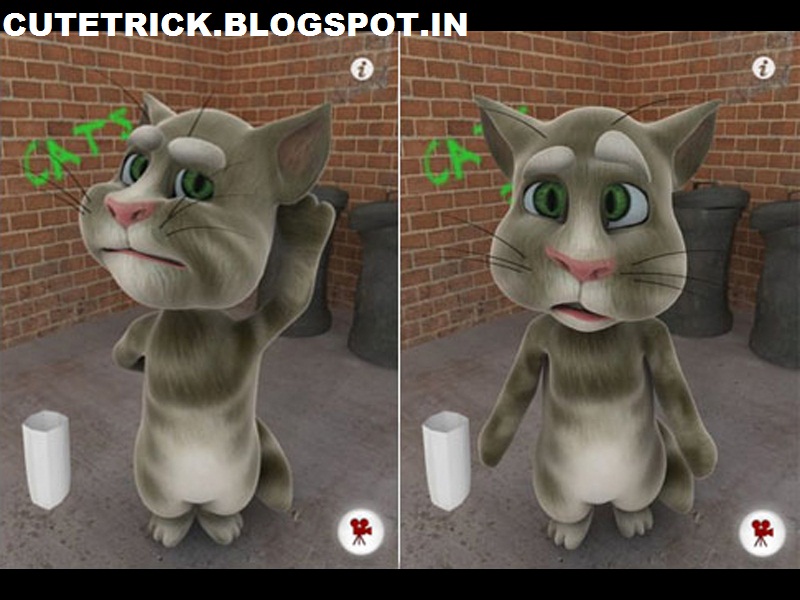 download talking tom cat pro.apk