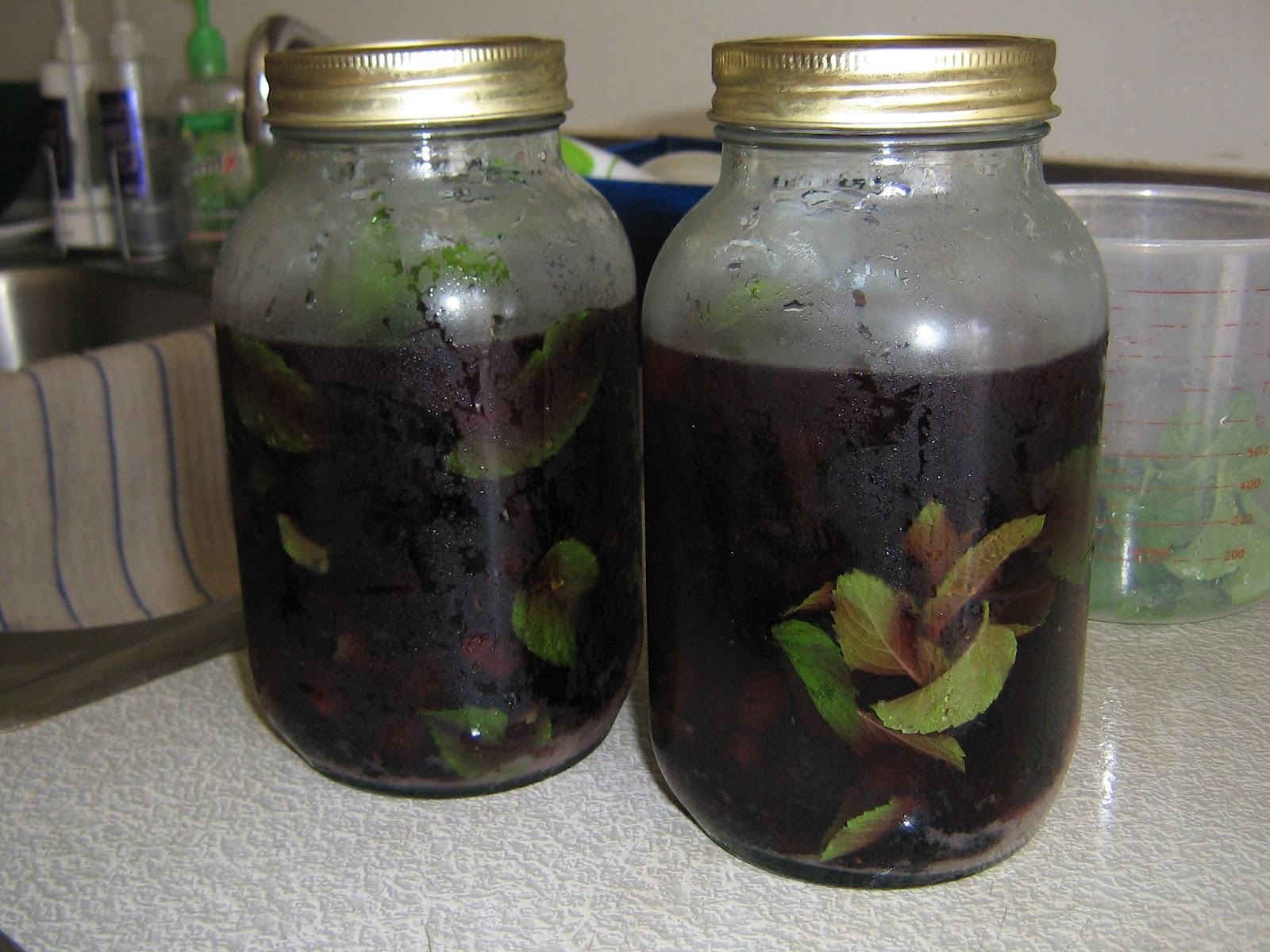 Homemade Schnapps Recipes Everclear
