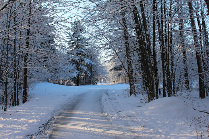 Entrance to Narnia