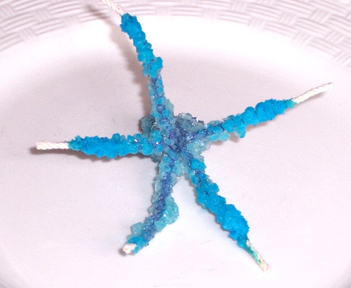 Homeschool Distractions Brittle Stars a craft project