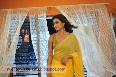 Dimple Chopra lovely photos in Yellow Saree HD latest