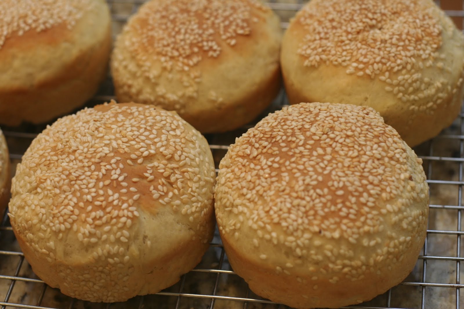 Suppers at Sunset Deli Style Hard Rolls