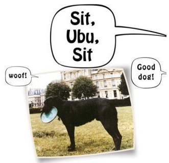 Sit Ubu Sit Good Dog Shows Sit Ubu Sit Good Dog Shows