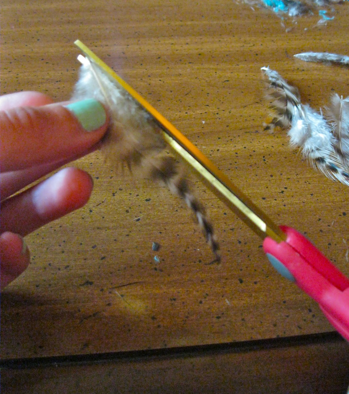 Art For All Do It Yourself Feather Extensions