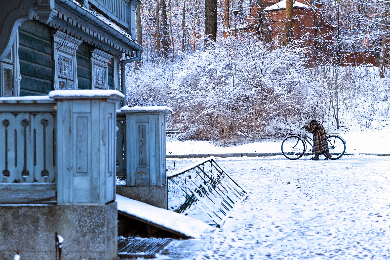 Gwiazdka w Puszczy - Ania w Podróży