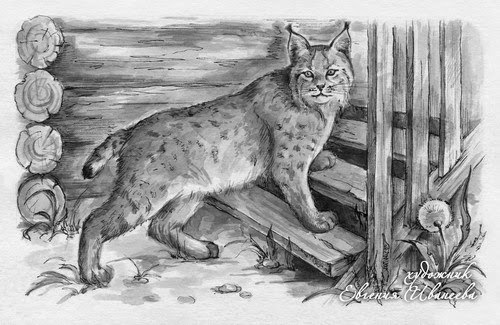 Катти Мурзук возбудила саму с себя Катти Мурзук возбудила саму с себя