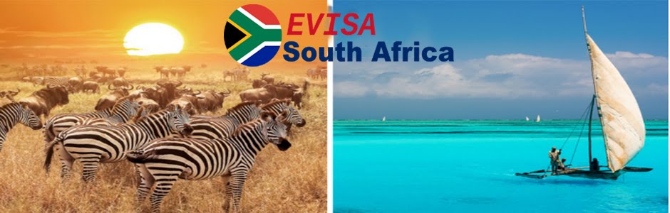 Evisa South Africa