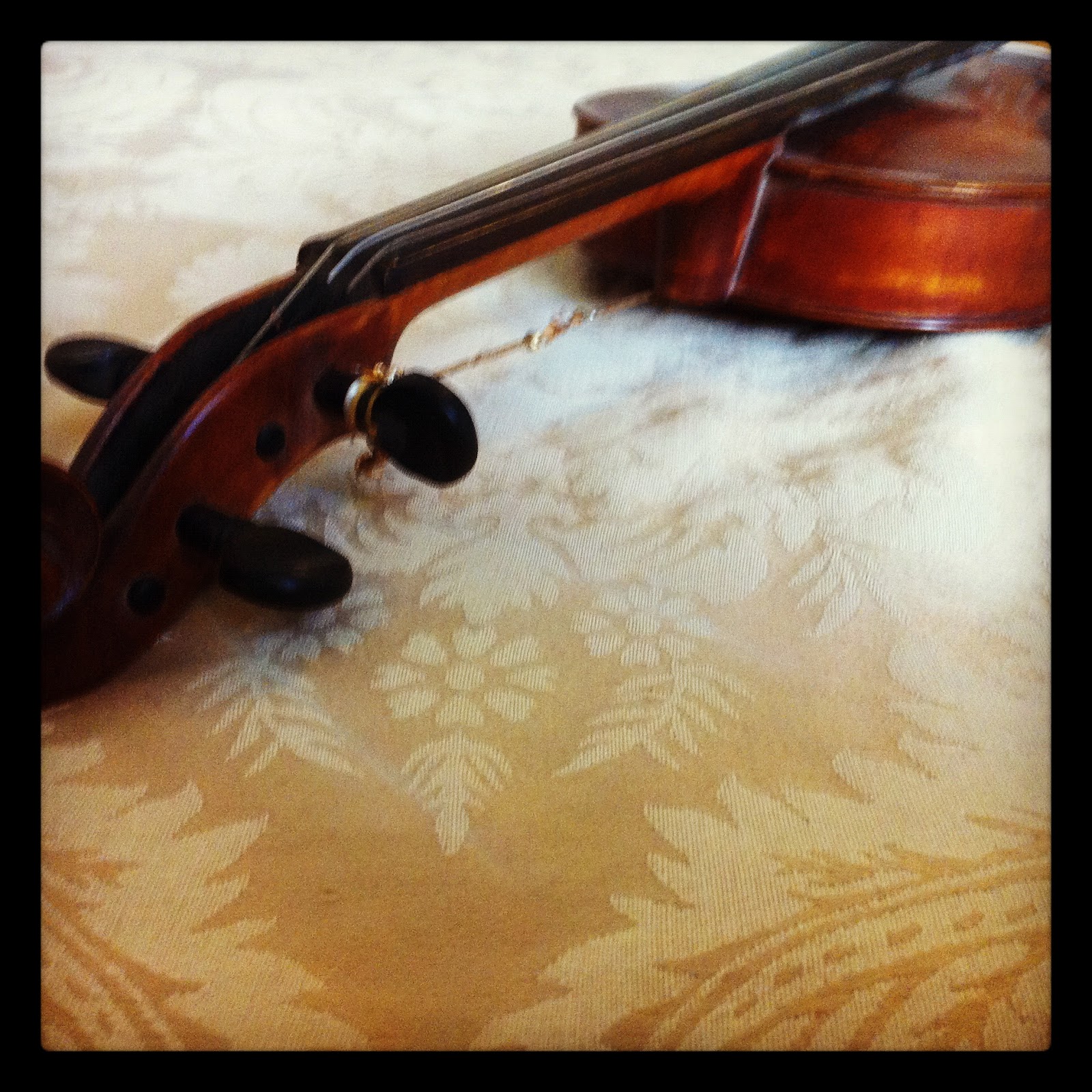 Violin Strings Cat Guts at Christopher Colon blog