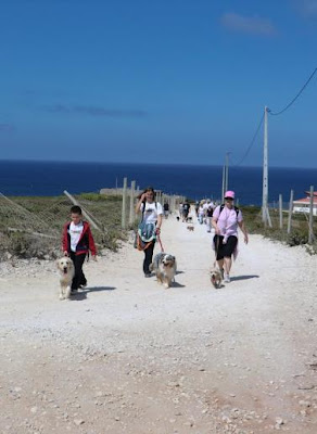 Dog Trekking to Guincho