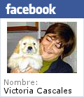 Mi Facebook