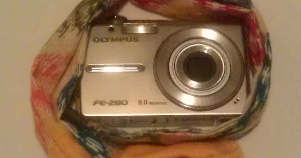 A Splash of Color Point and Shoot Camera Neck Strap