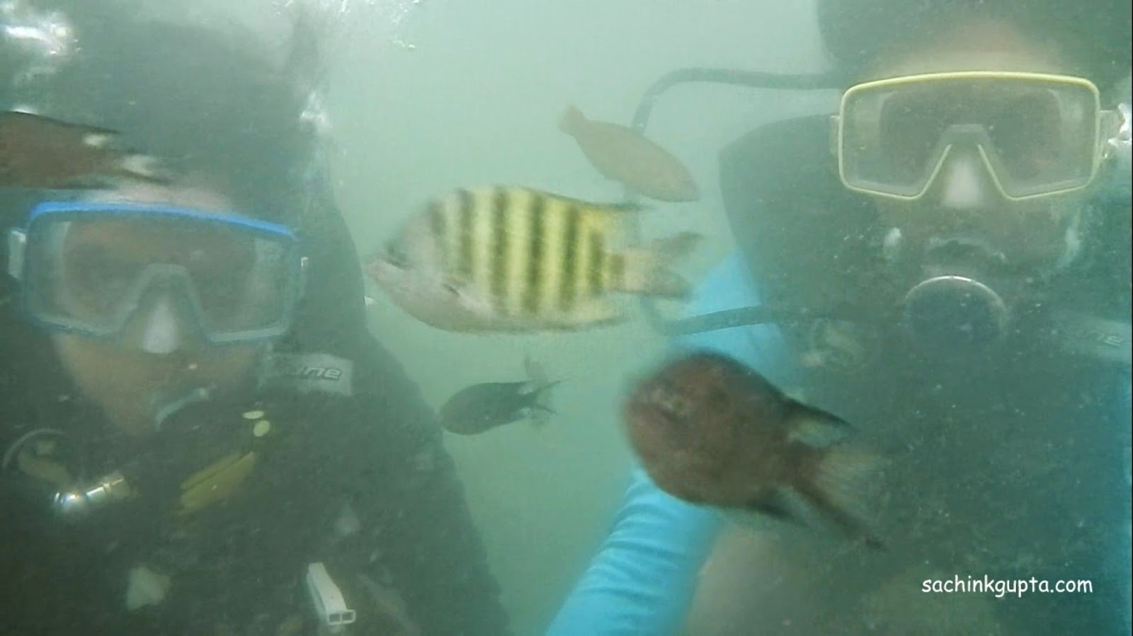 Scuba Diving at Tarkarli near Sindhudurg Fort at Kurte Island LENS