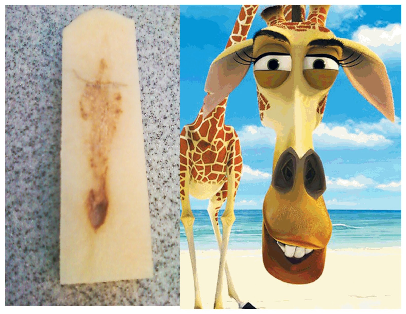 Who's Z? Creations///Rebeca Greene Photography A Nod to Nancy