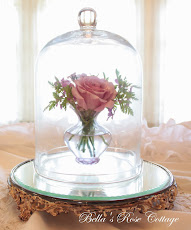 Neptune Rose Under Glass