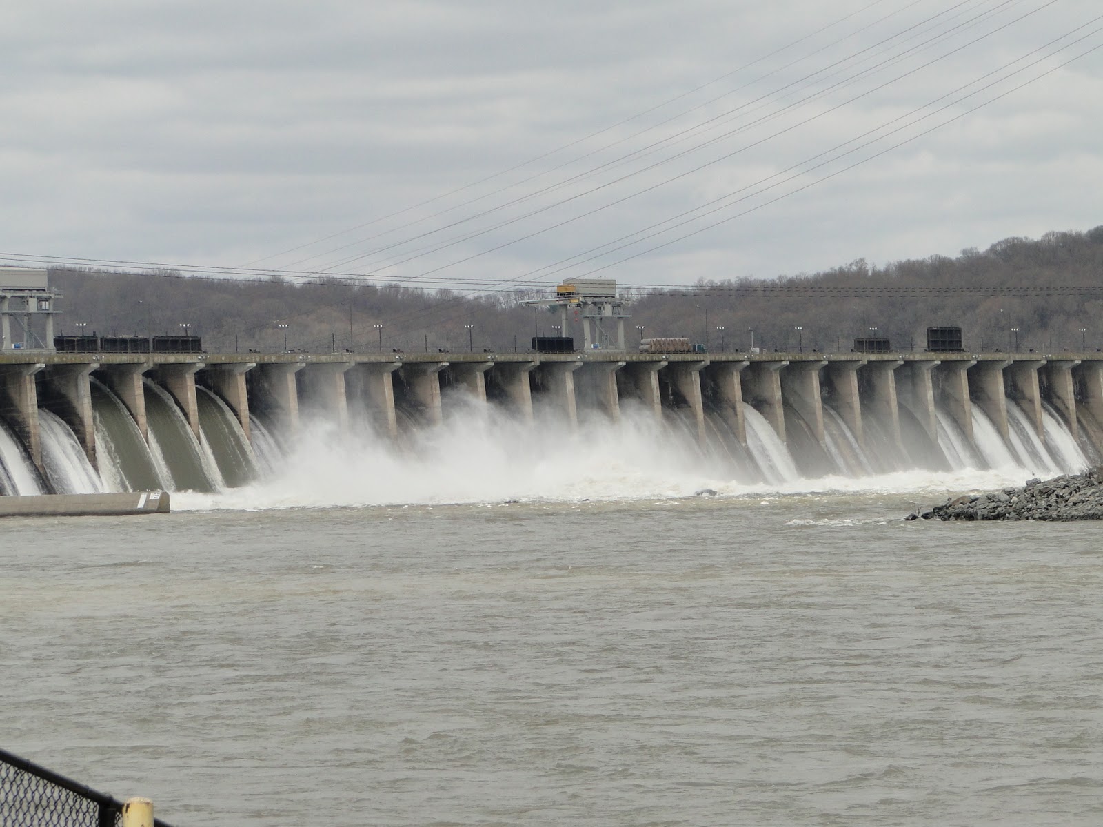 arbor day activities kindergarten
