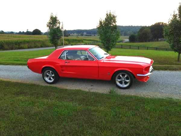 1967 Mustang 289 For Trade Buy American Muscle Car