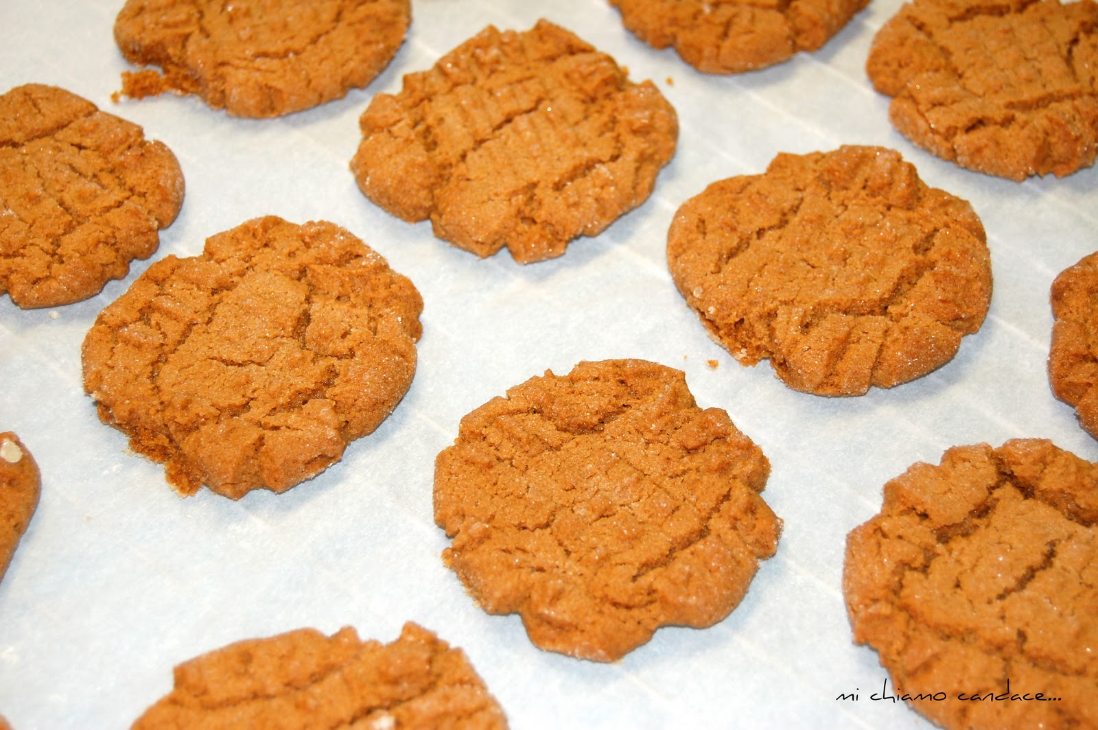 Mi Chiamo Candace... BISCOFF PEANUT BUTTER FLOURLESS COOKIES