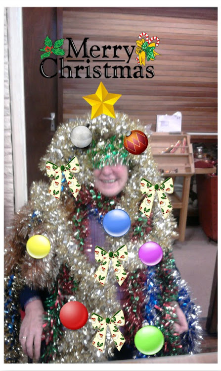 Josie - Christmas Tree!