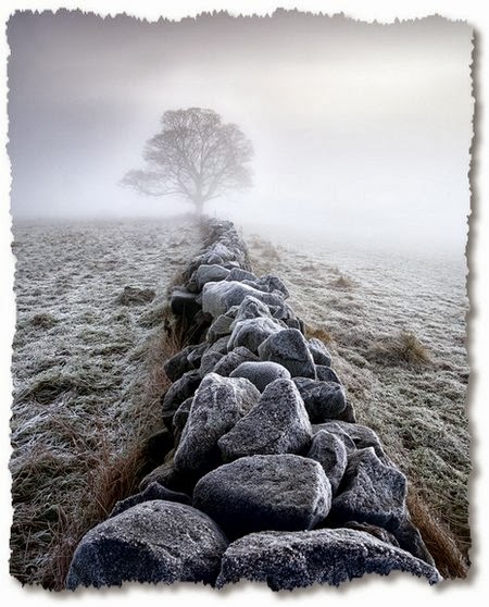 Get Alles zuviel For Free