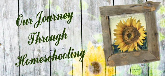 Our Journey Through Homeschooling