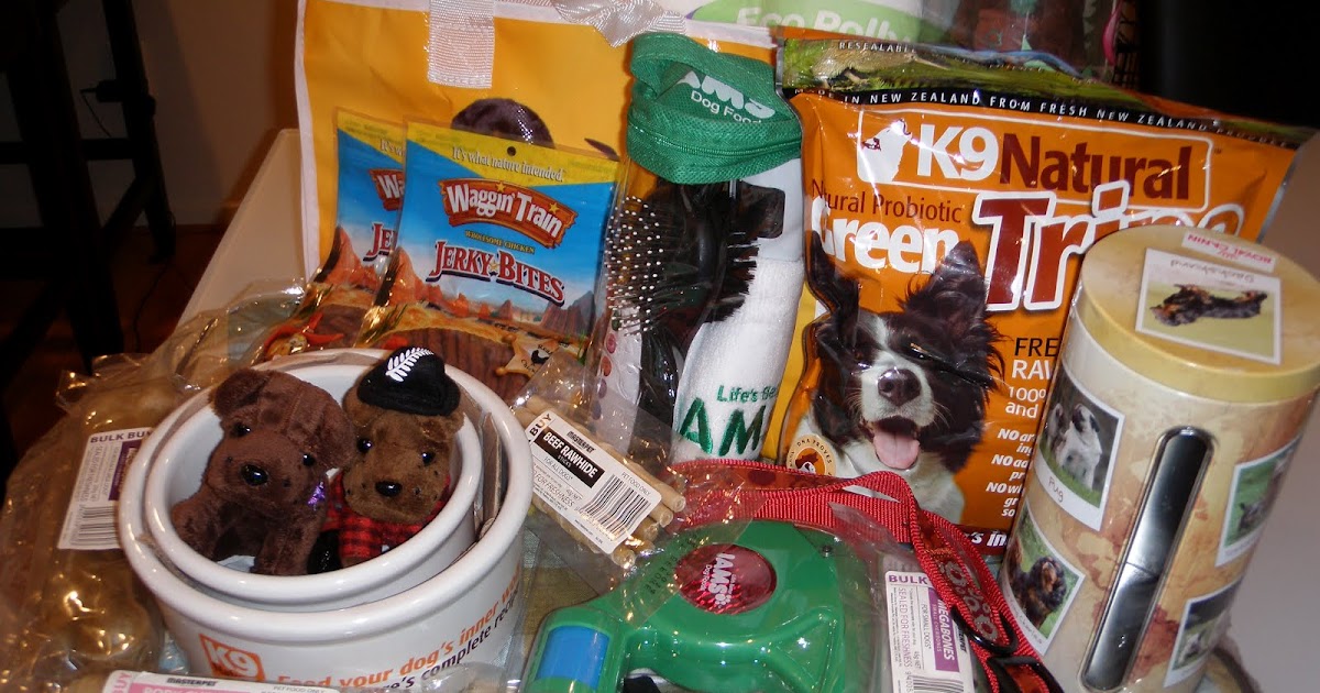 Model 2B RAFFLE FOR DOG RESCUE