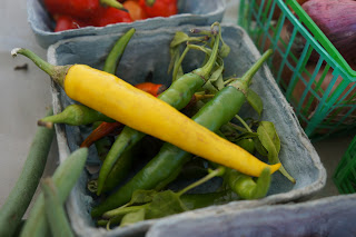 Peppers from Shamba Farms at the West End Farmers Market taken by Knerq